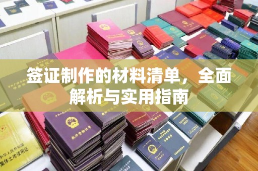 牟定签证制作的材料清单，全面解析与实用指南